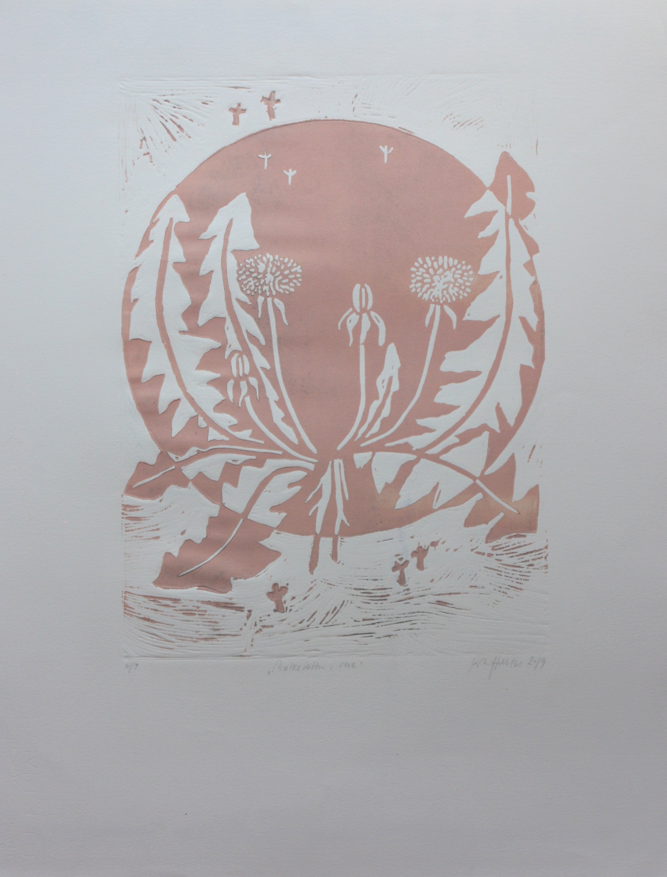 Mælkebøtter i rosa