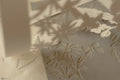 'Titel' 2026 - 50 x 40 cm - Papir (Copy)